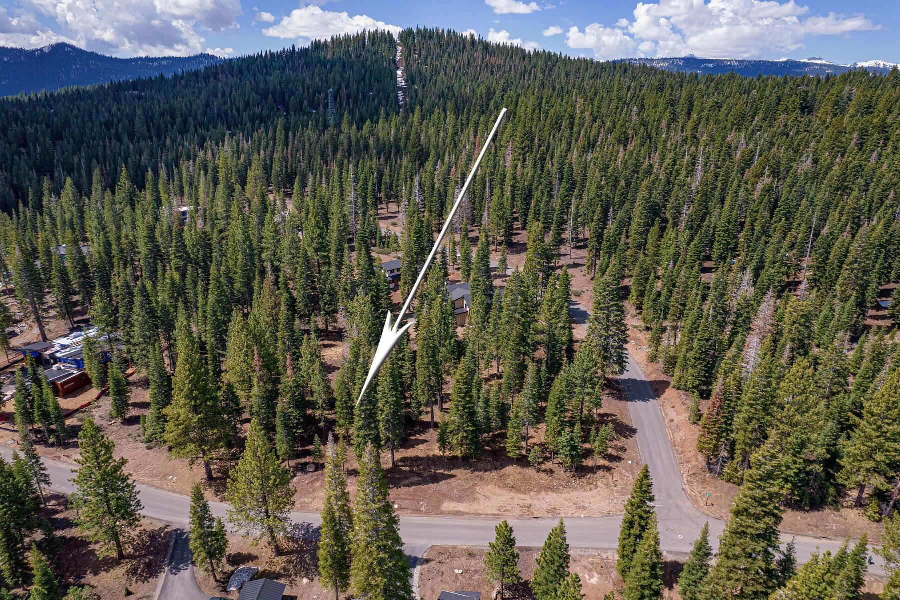 9270 Brae Road Truckee, CA 96161 - Photo 6 of 18 a view of a street with a tree