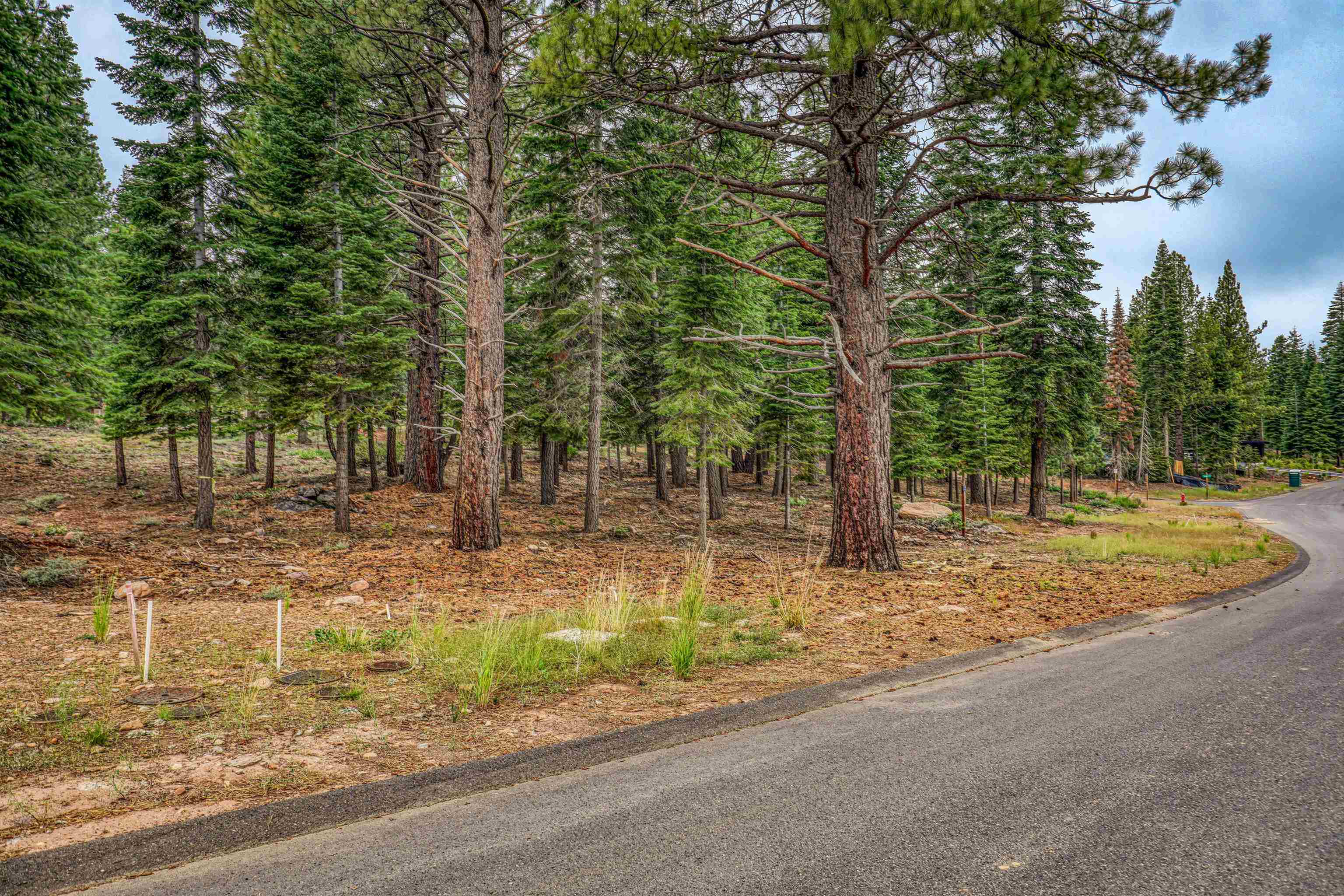 9270 Brae Road Truckee, CA 96161 - Photo 7 of 18 a view of a yard with trees