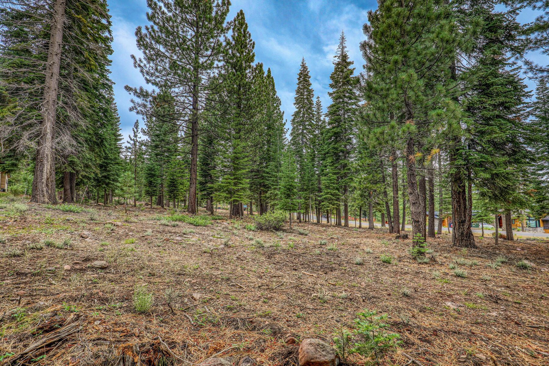9270 Brae Road Truckee, CA 96161 - Photo 8 of 18 a view of dirt yard with trees