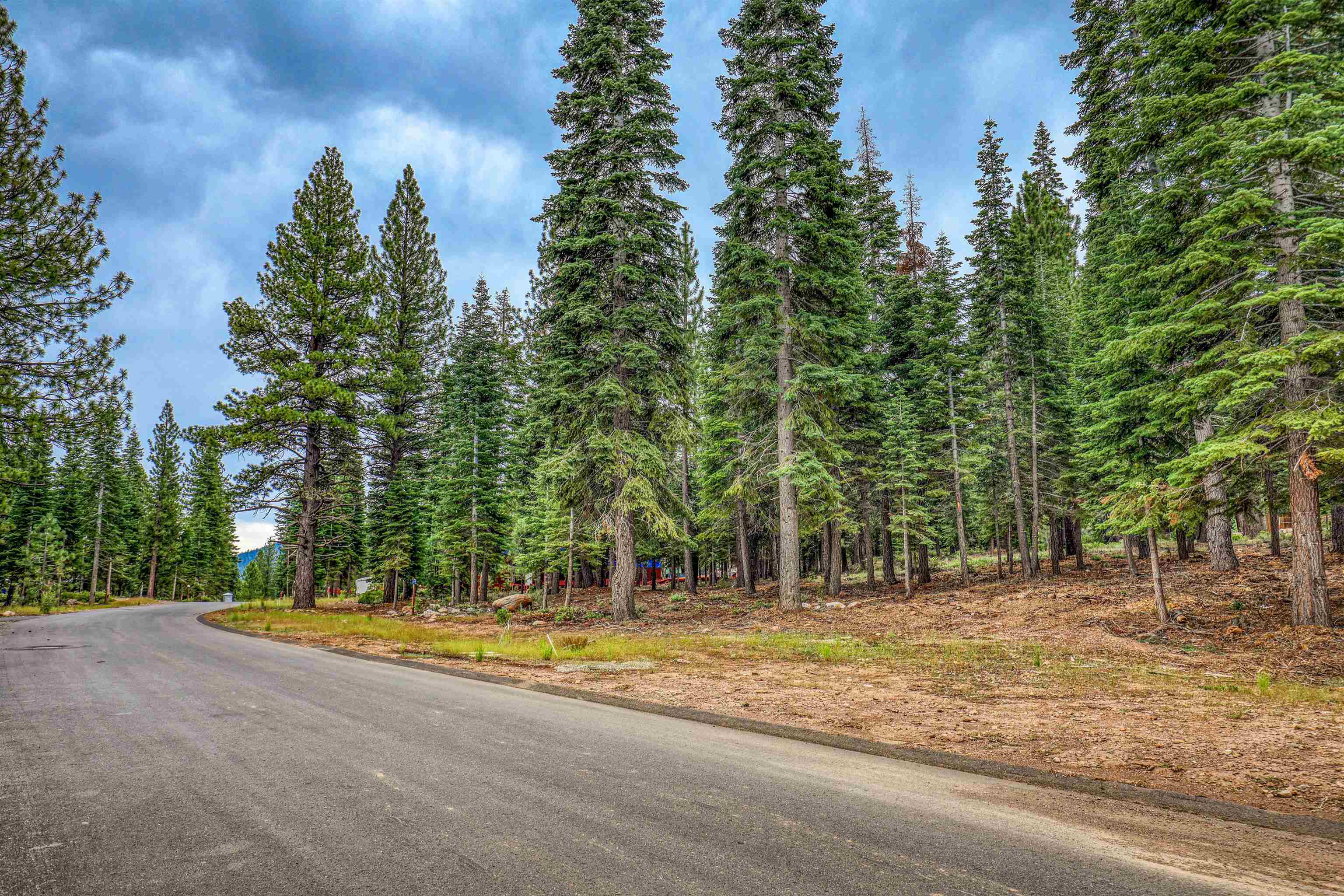 9270 Brae Road Truckee, CA 96161 - Photo 9 of 18 a view of a house with a yard and trees