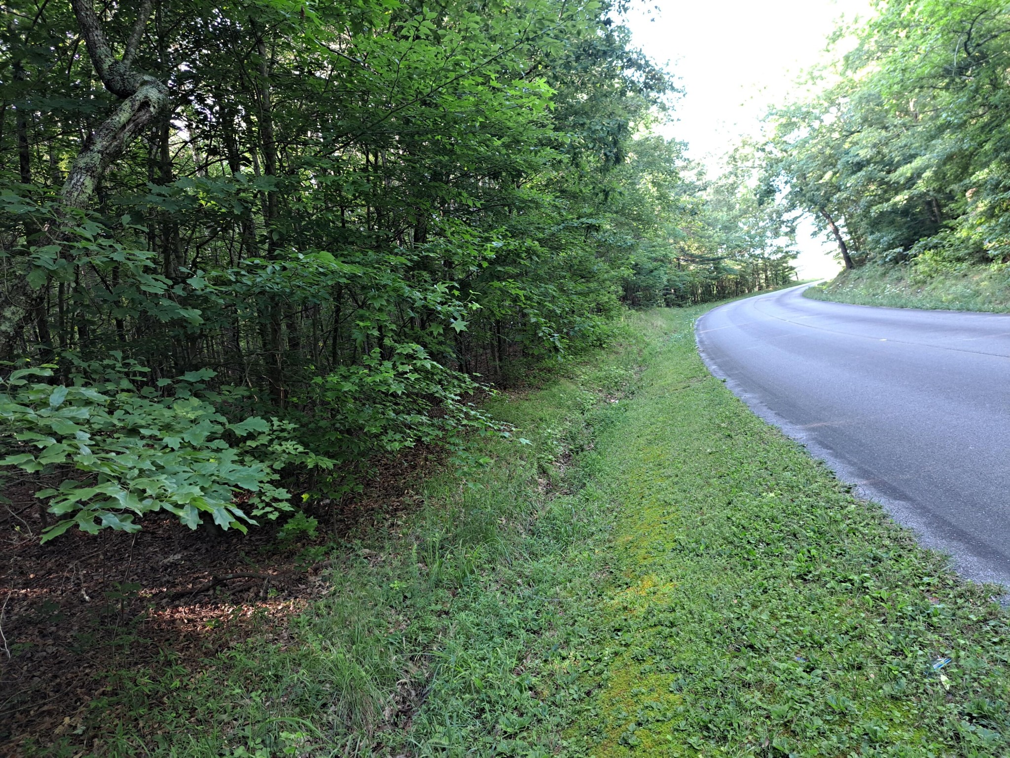 0 Cannon Road LaFayette, GA 30728 - Photo 10 of 13
