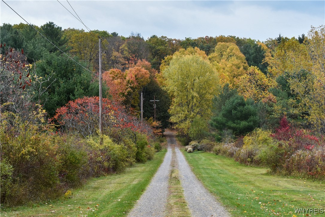 8197 Boston State Road Boston, NY 14075 - Photo 3 of 36