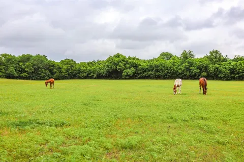 $2,050,000 | 1771 Old Annetta Road, Aledo, TX 76008