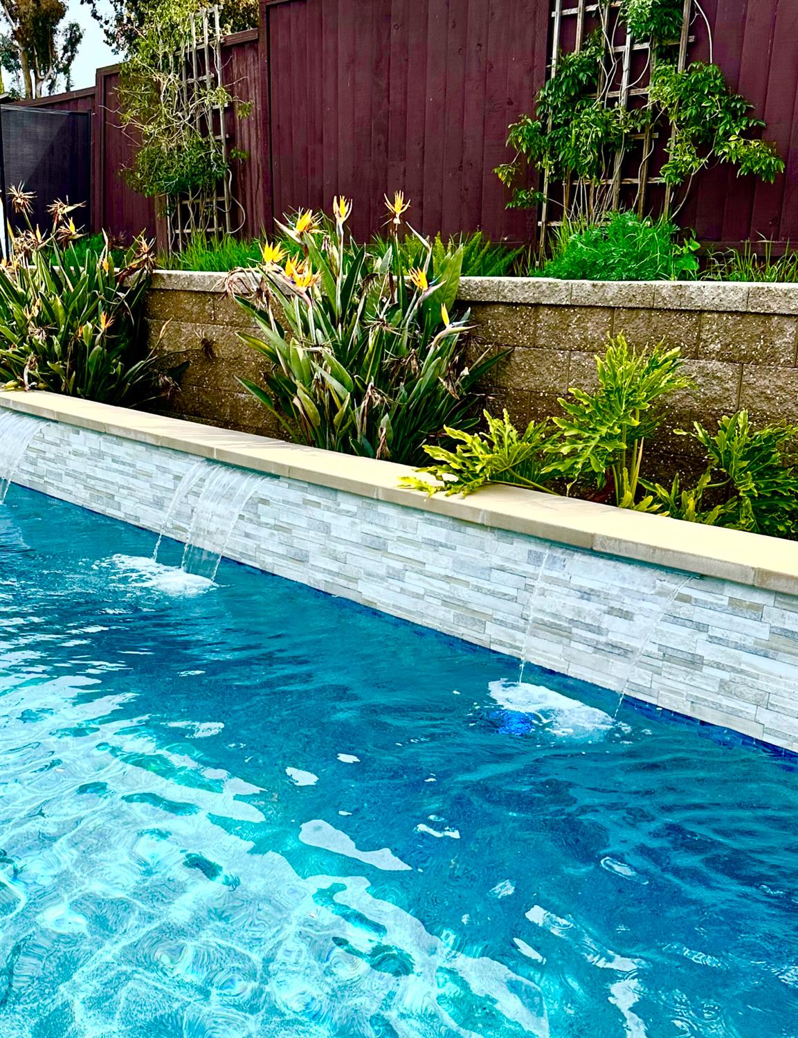 1297 Kansas Circle Concord, CA 94521 - Photo 5 of 41