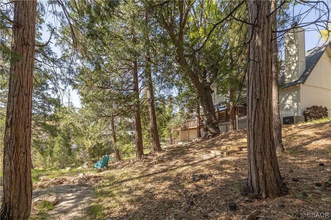 841 Golf Course Road Lake Arrowhead, CA 92352 - Photo 38 of 43 a view of a forest filled with trees
