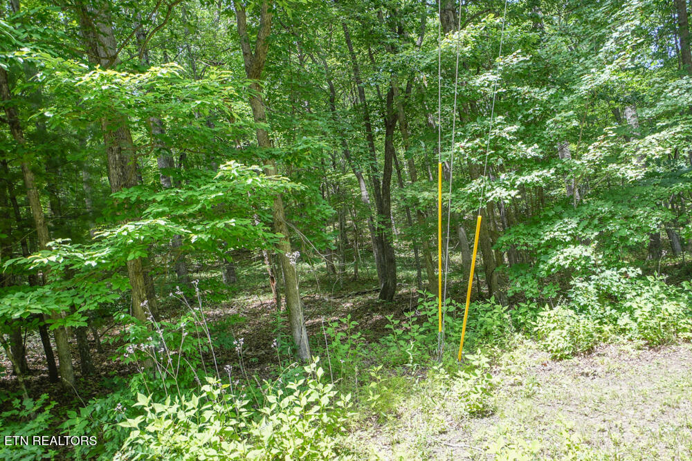 South Peterson Road Tallassee, TN 37878 - Photo 5 of 5 DSC00714