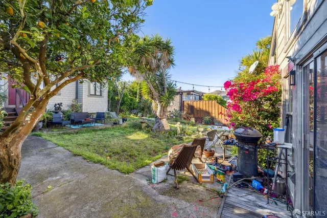 a view of a backyard with plants and a garden