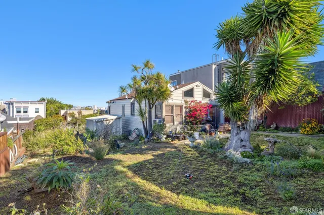 a view of a backyard with plants and palm trees