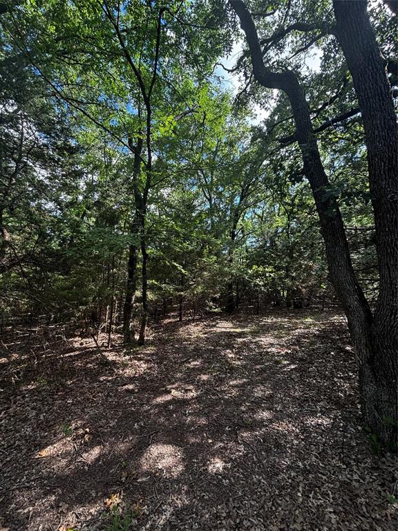 Tbd Woodland Estates Road Terrell, TX 75160 - Photo 22 of 22 a view of outdoor space and trees