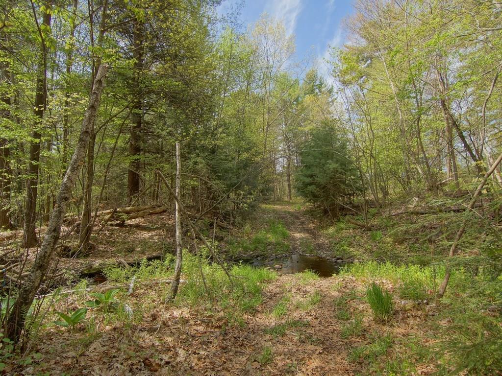 0 Blackberry Hill Road Berwick, ME 03901 - Photo 15 of 18 Back area near the rear right...