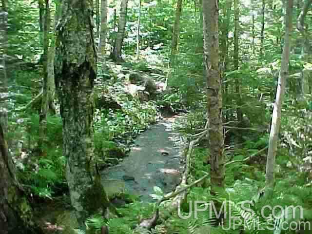 Tbd Off Center Street Munising, MI 49862 - Photo 2 of 3