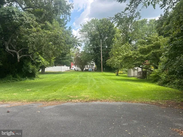 a view of a park with large trees