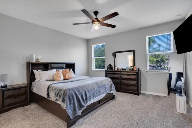 a bedroom with a large bed and a window