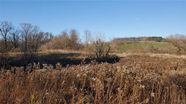 $170,000 | 1229 Highway 392, Virgil, NY 13045