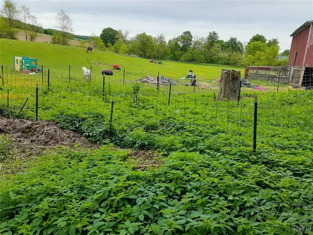 $170,000 | 1229 Highway 392, Virgil, NY 13045