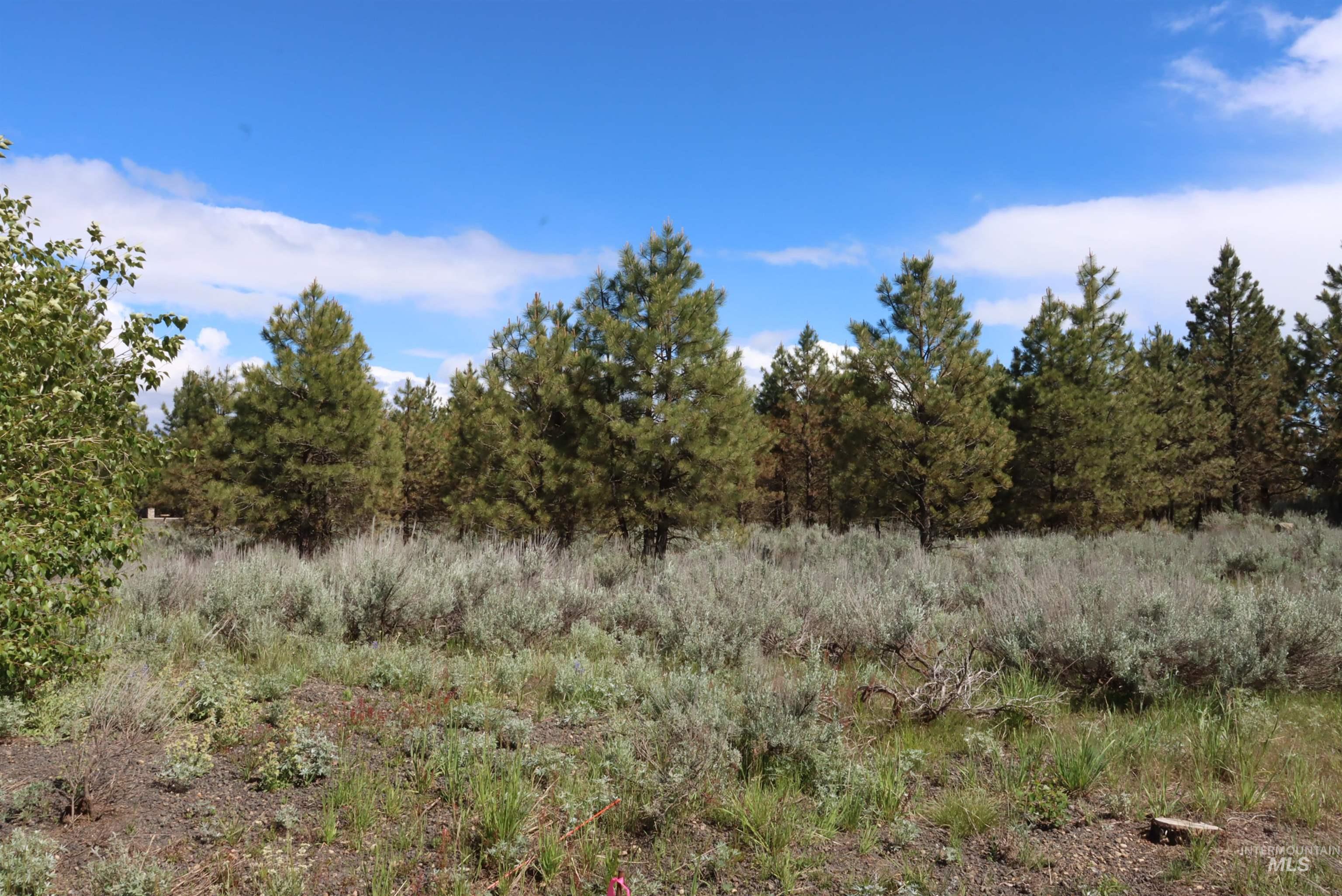 7 Bitterroot Court McCall, ID 83638 - Photo 1 of 13