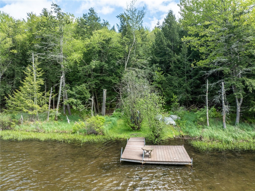 122 Trails End Jefferson, NY 12167 - Photo 12 of 19