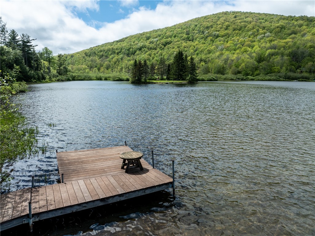 122 Trails End Jefferson, NY 12167 - Photo 13 of 19