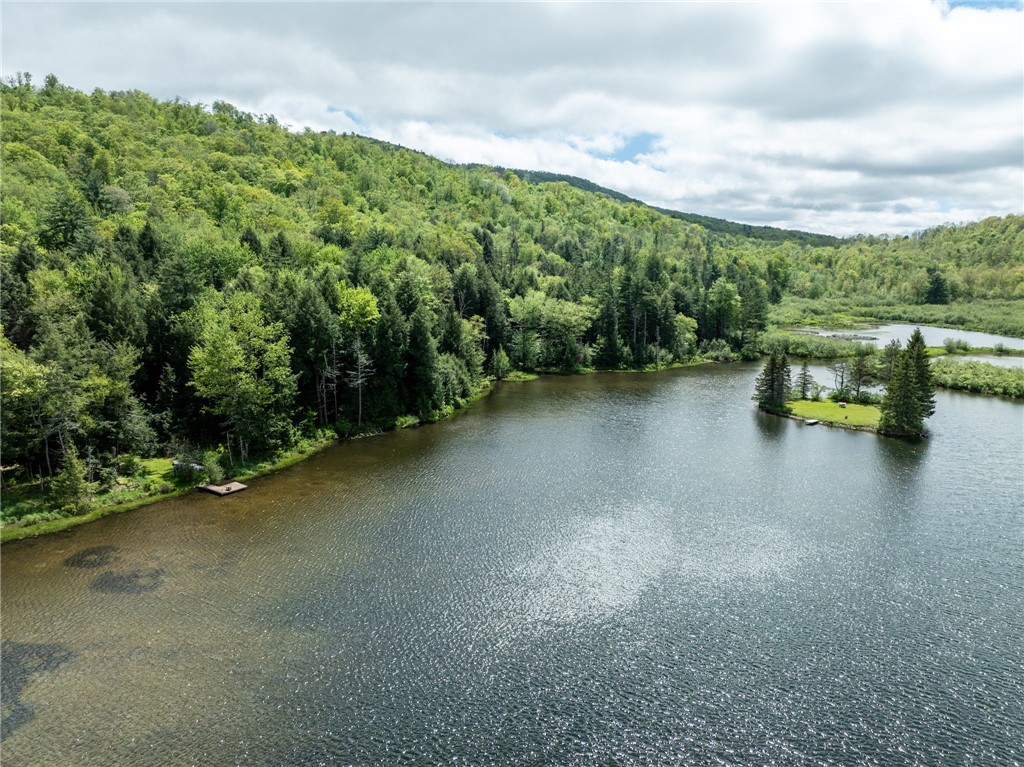 122 Trails End Jefferson, NY 12167 - Photo 4 of 19
