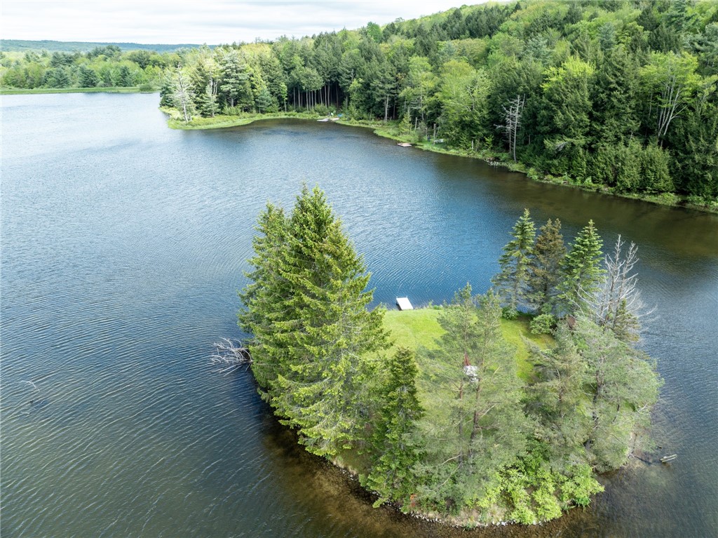 122 Trails End Jefferson, NY 12167 - Photo 7 of 19