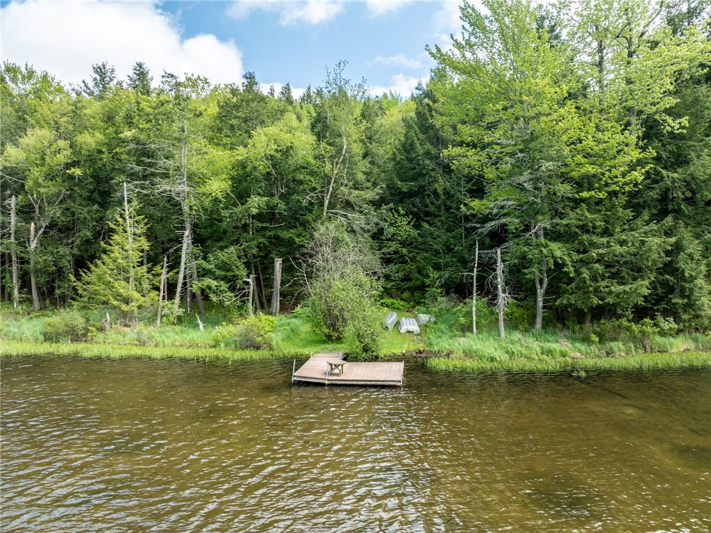 122 Trails End Jefferson, NY 12167 - Photo 10 of 19