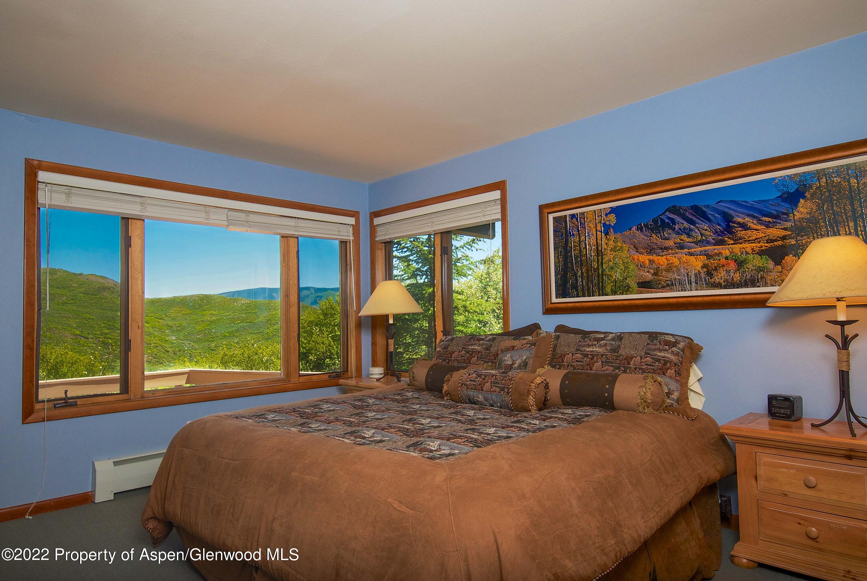 856 Sinclair Road Snowmass Village, CO 81615 - Photo 17 of 33 DSC_0173