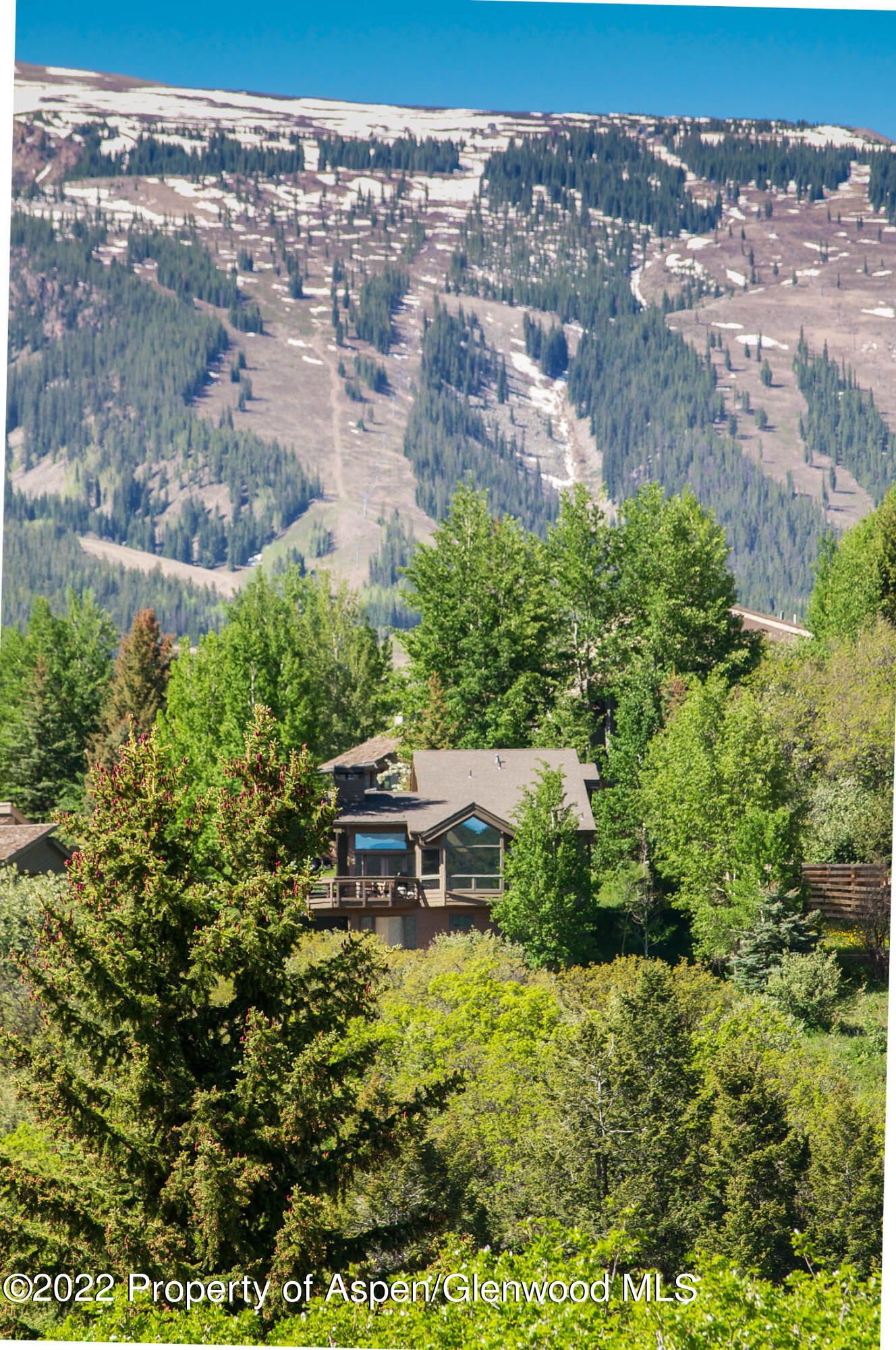 856 Sinclair Road Snowmass Village, CO 81615 - Photo 23 of 33 DSC_0047