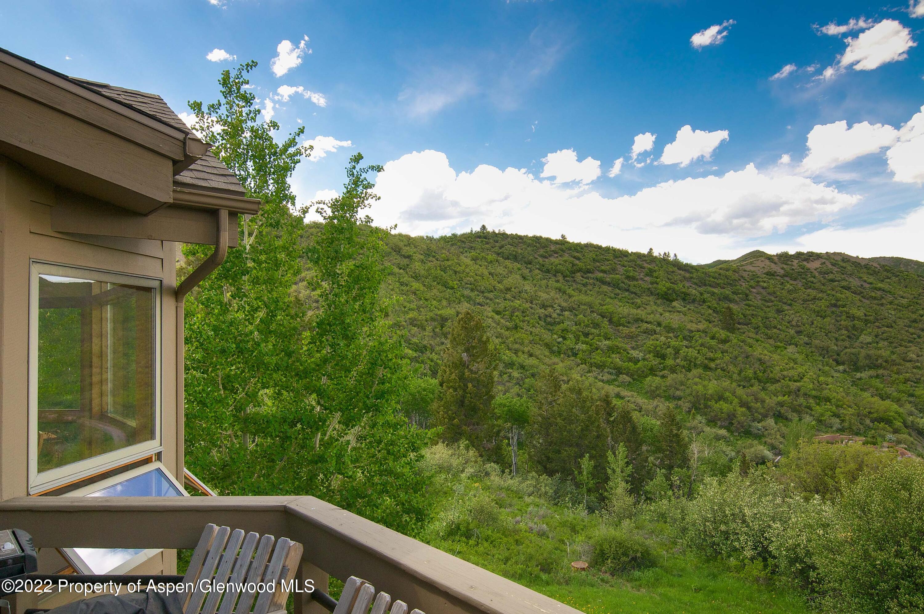 856 Sinclair Road Snowmass Village, CO 81615 - Photo 27 of 33 DSC_0168