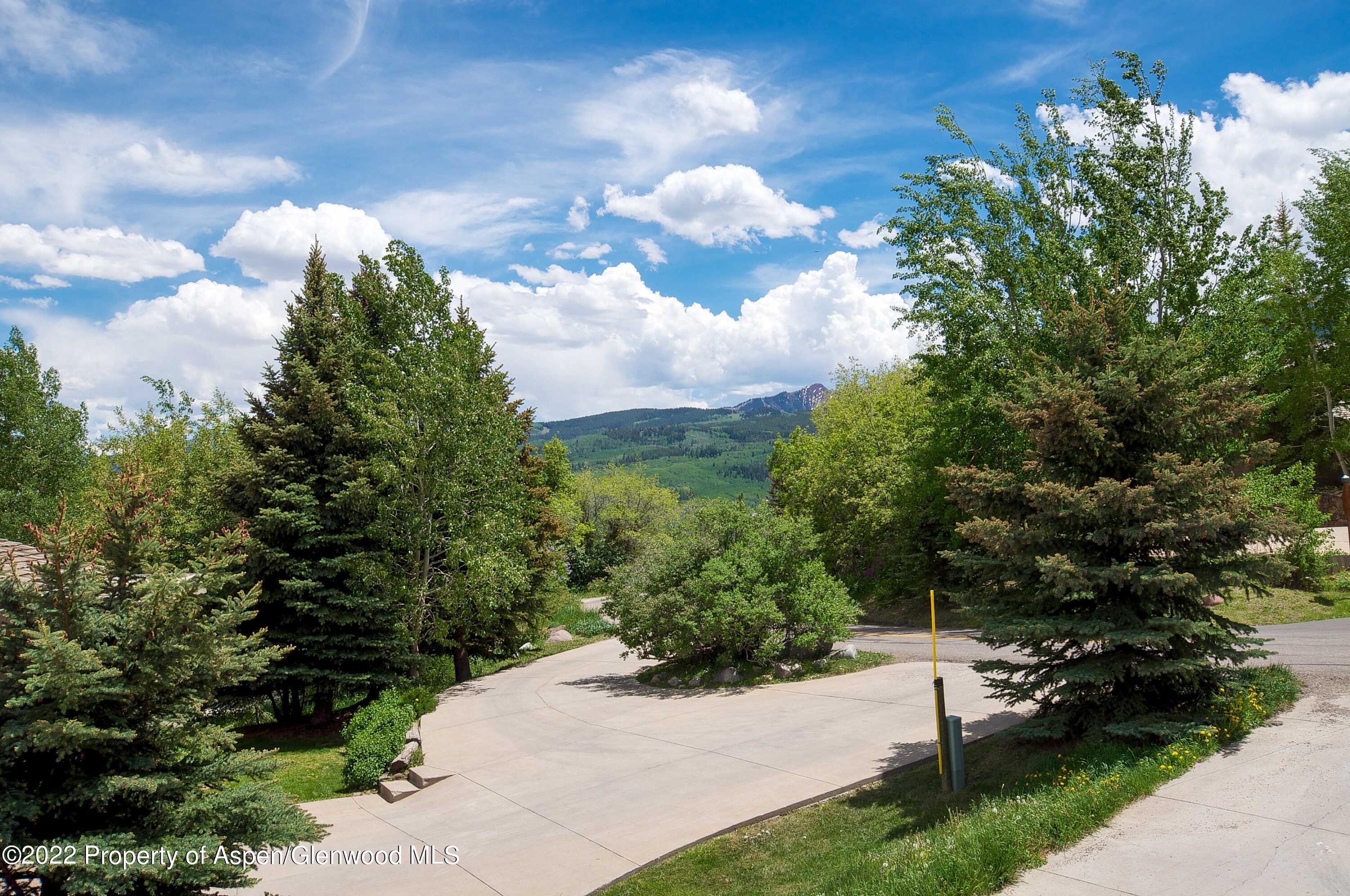856 Sinclair Road Snowmass Village, CO 81615 - Photo 33 of 33 DSC_0066