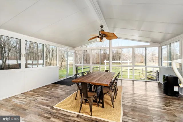 a view of a yard with large trees