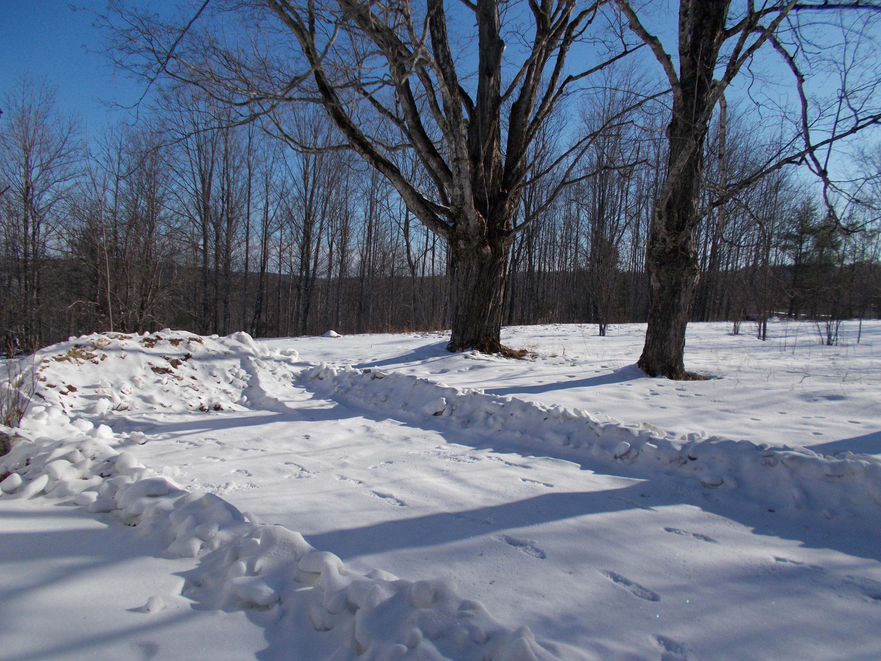 449 Bell Hill Road Otisfield, ME 04270 - Photo 6 of 10 093