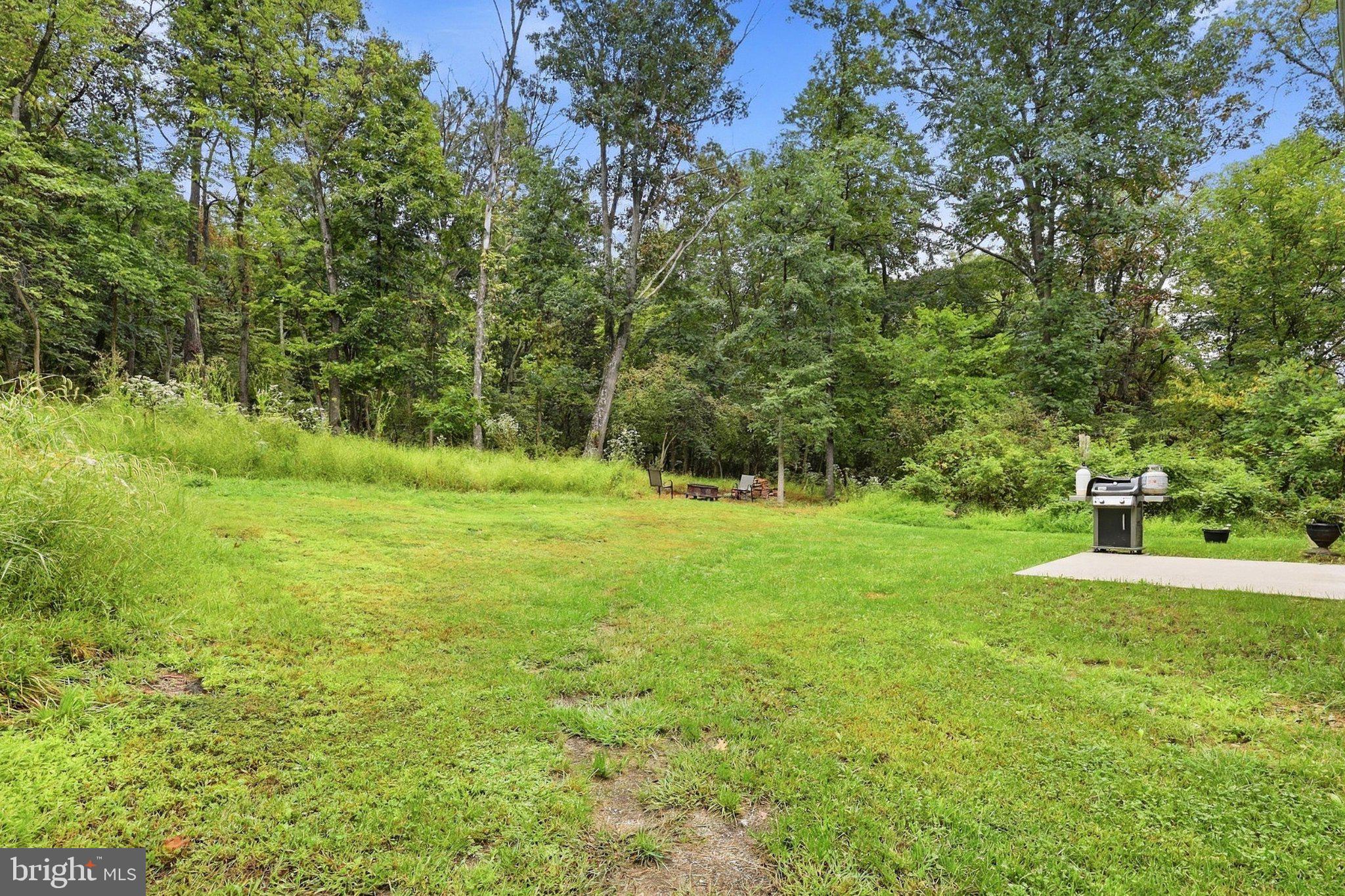 203 Rappahannock Run Falling Waters, WV 25419 - Photo 44 of 59 Gallery Image 44