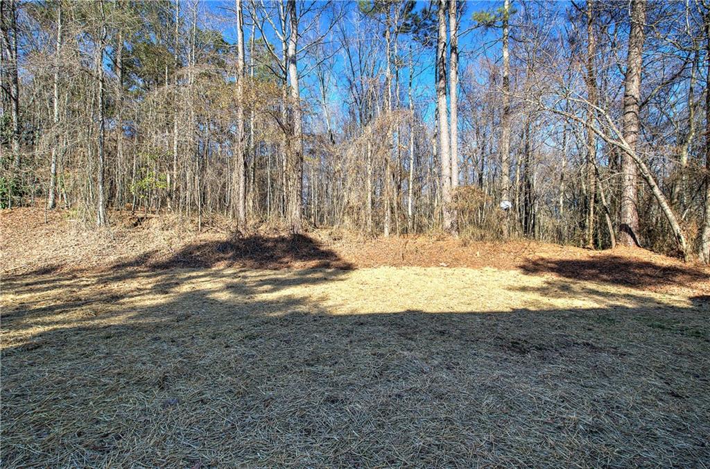 143 Delane Drive Dallas, GA 30157 - Photo 37 of 37