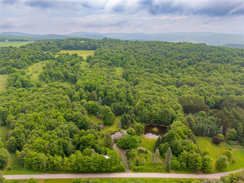 2240 Scotch Hill Road Kortright, NY 13739 - Photo 49 of 49