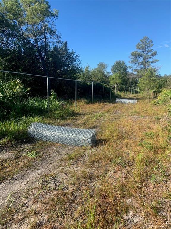 2701 Metro Drive Ruskin, FL 33570 - Photo 3 of 6 a backyard of a house with lots of green space