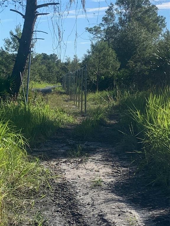 2701 Metro Drive Ruskin, FL 33570 - Photo 4 of 6 a backyard of a house with lots of green space