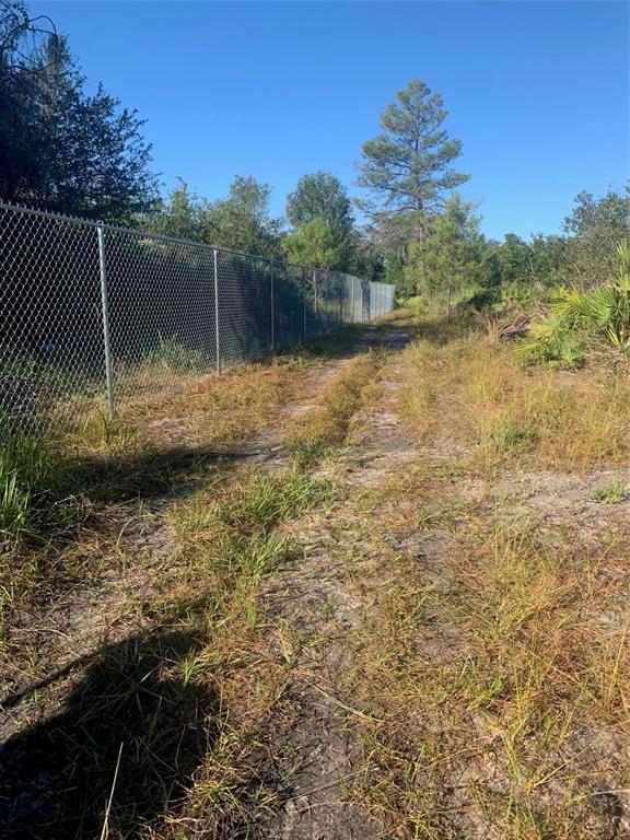 2701 Metro Drive Ruskin, FL 33570 - Photo 5 of 6 a backyard of a house with lots of green space