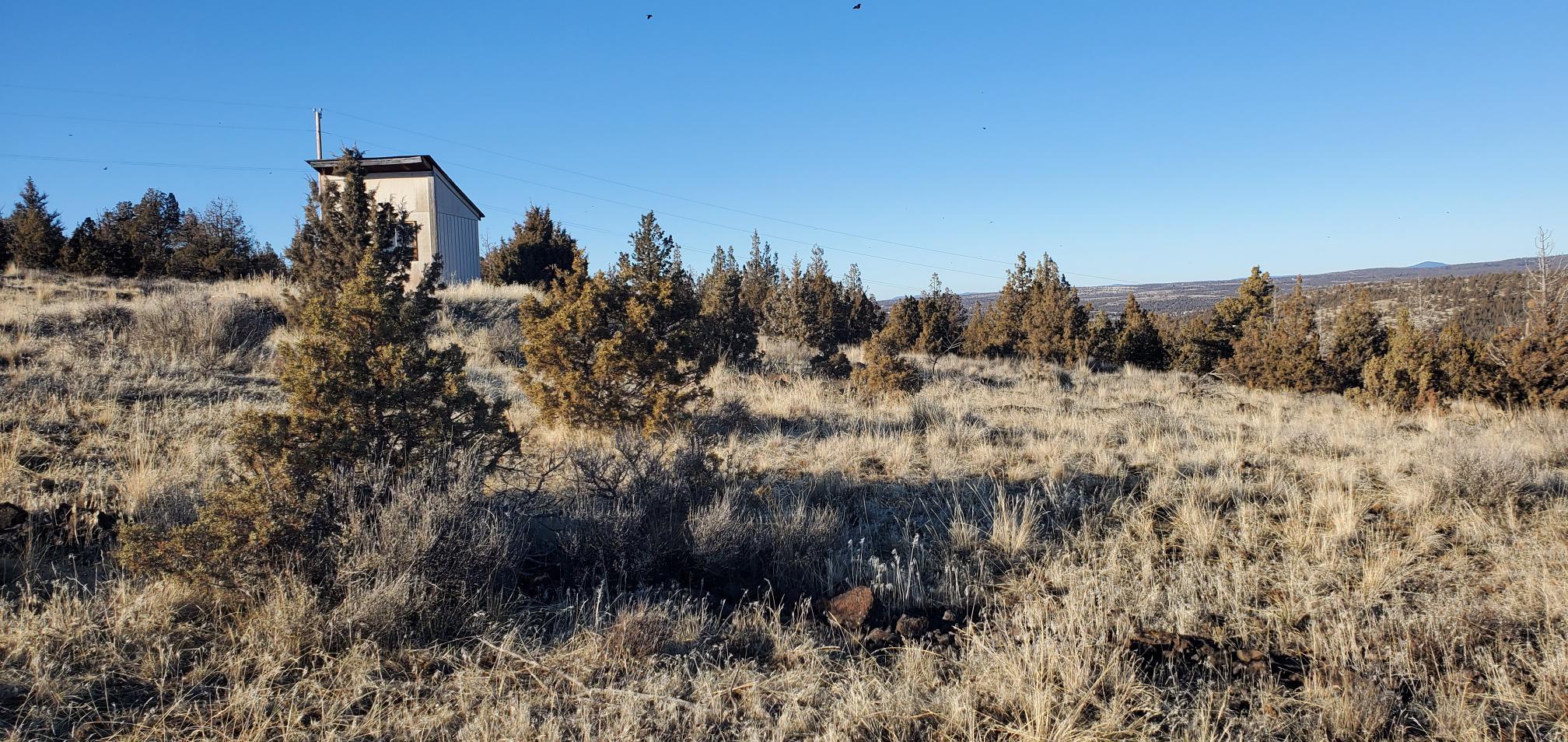 Southeast Winchester Loop Prineville, OR 97754 - Photo 1 of 6 20250127_152226