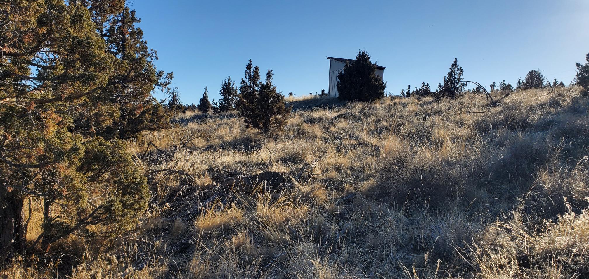 Southeast Winchester Loop Prineville, OR 97754 - Photo 3 of 6 20250127_152706
