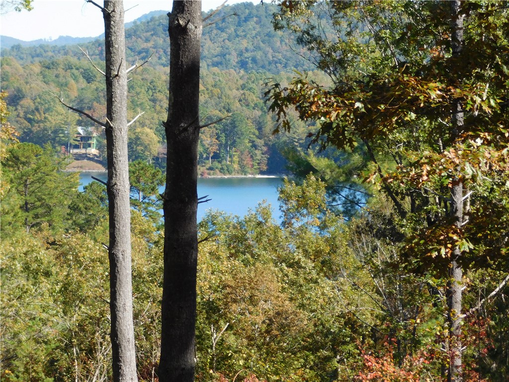Lot 7 Old Chapman Bridge Road Salem, SC 29676 - Photo 1 of 8 Gallery Image 1