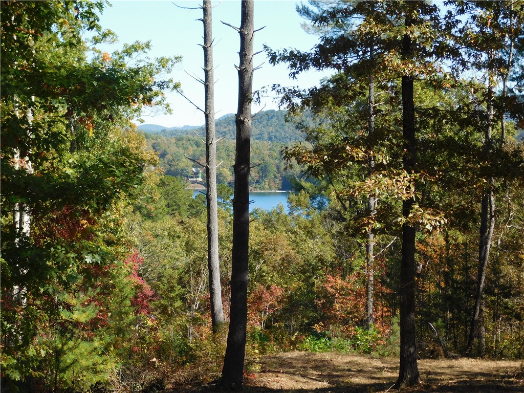 Lot 7 Old Chapman Bridge Road Salem, SC 29676 - Photo 2 of 8 Gallery Image 2