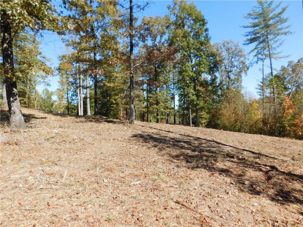 Lot 7 Old Chapman Bridge Road Salem, SC 29676 - Photo 5 of 8 Gallery Image 5