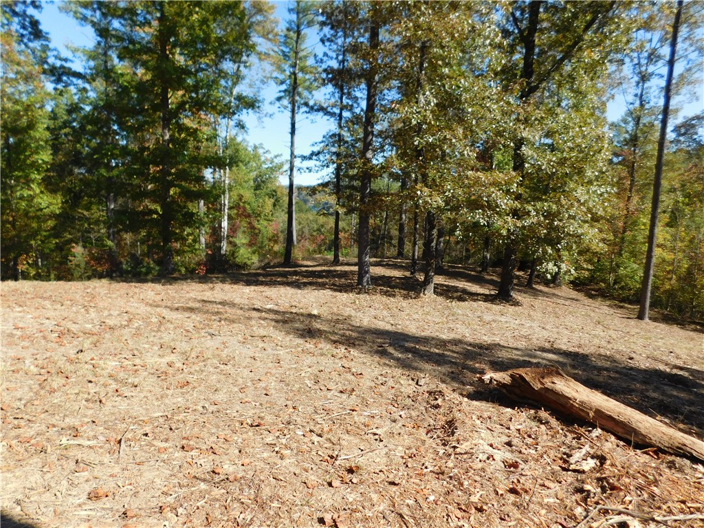 Lot 7 Old Chapman Bridge Road Salem, SC 29676 - Photo 6 of 8 Gallery Image 6