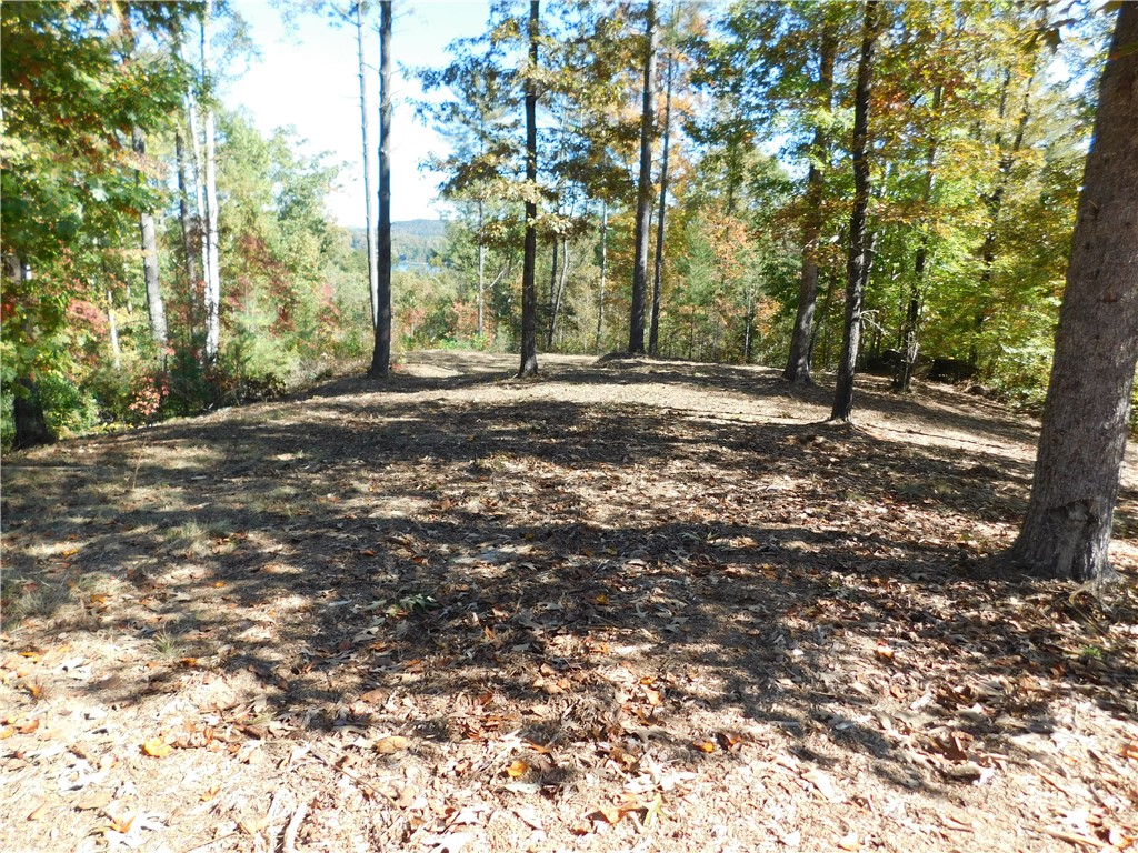Lot 7 Old Chapman Bridge Road Salem, SC 29676 - Photo 7 of 8 Gallery Image 7