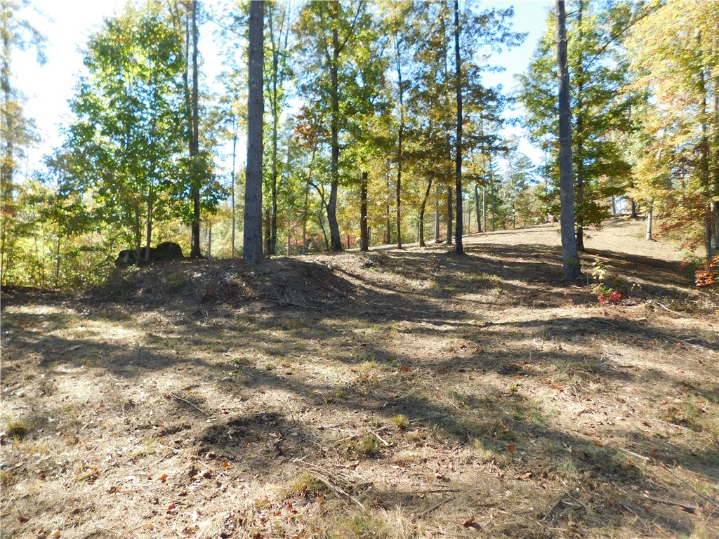 Lot 7 Old Chapman Bridge Road Salem, SC 29676 - Photo 8 of 8 Gallery Image 8