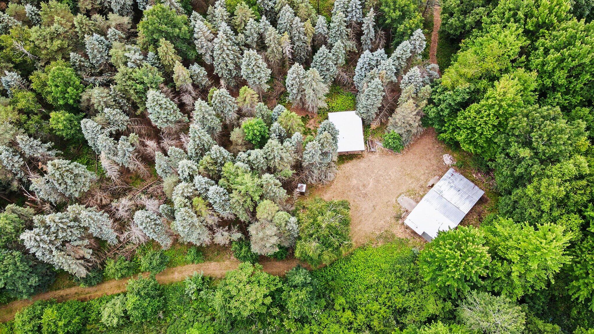 4485 South Miles Road Sheridan, MI 48884 - Photo 49 of 79 044_file_9802