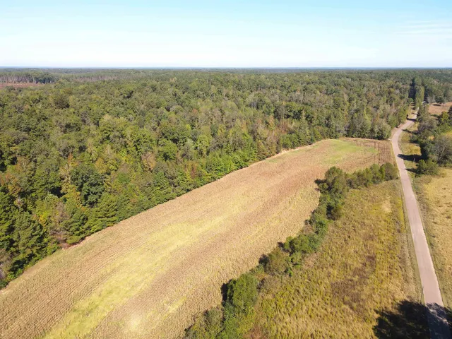 a view of a large mountain with a lake view