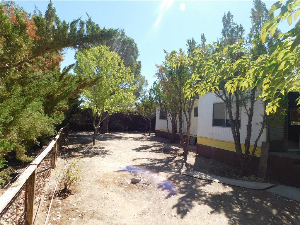 45985 Cottonwood Road Newberry Springs, CA 92365 - Photo 46 of 67 a view of a yard with trees