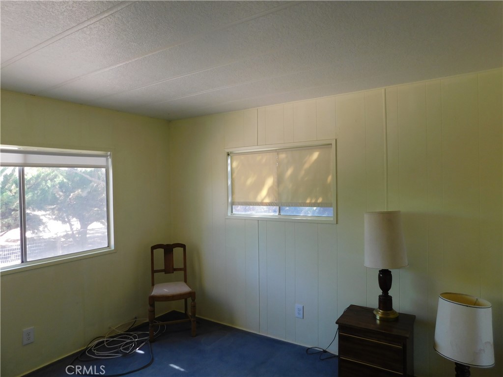 45985 Cottonwood Road Newberry Springs, CA 92365 - Photo 53 of 67