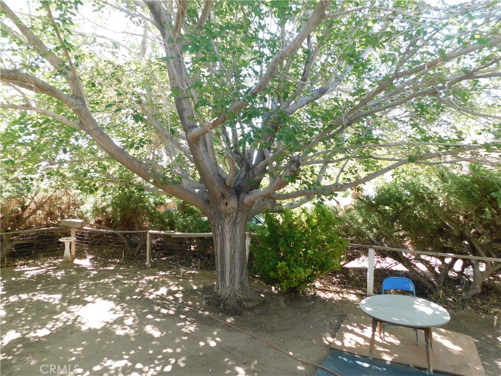 45985 Cottonwood Road Newberry Springs, CA 92365 - Photo 55 of 67 a backyard of a house with table and chairs a barbeque with a large tree